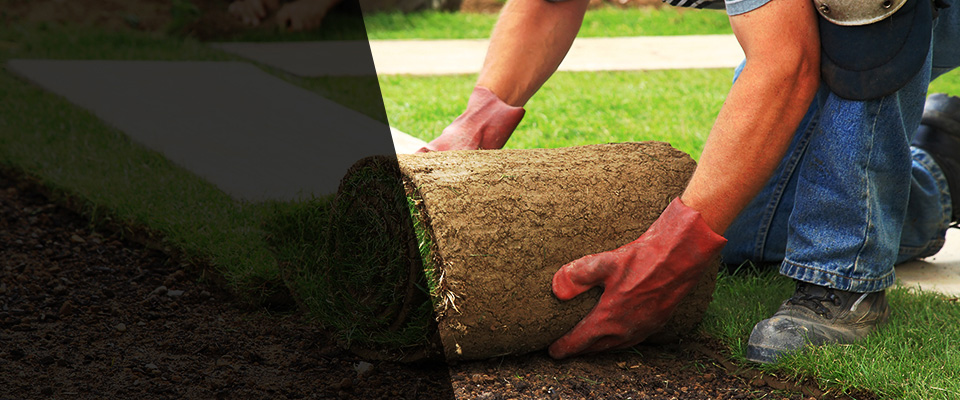 Narvon Landscapers